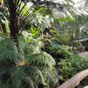Ogród Botaniczny Berlin-Dahlem